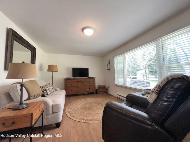 14 Brown Rd, Copake, NY 12516 - living room with wood finished floors and baseboard heating