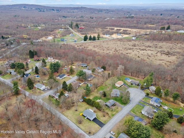 drone / aerial view