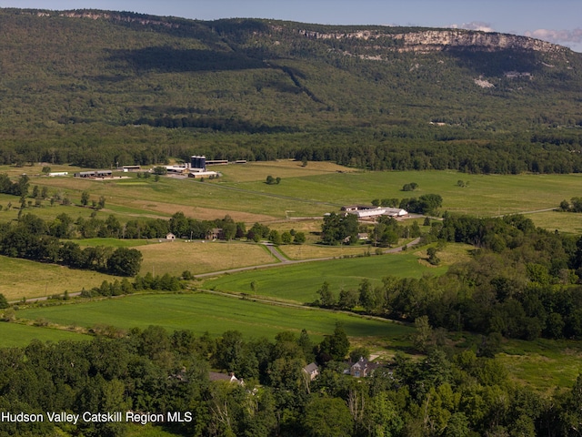 view of mountain feature with a rural view