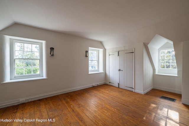 additional living space with plenty of natural light, wood-type flooring, and lofted ceiling