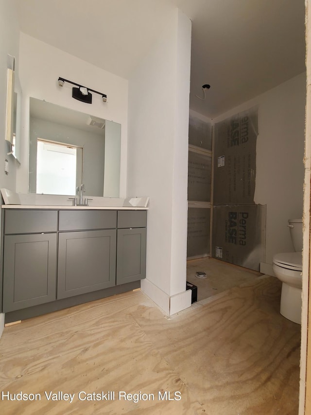 bathroom with vanity and toilet