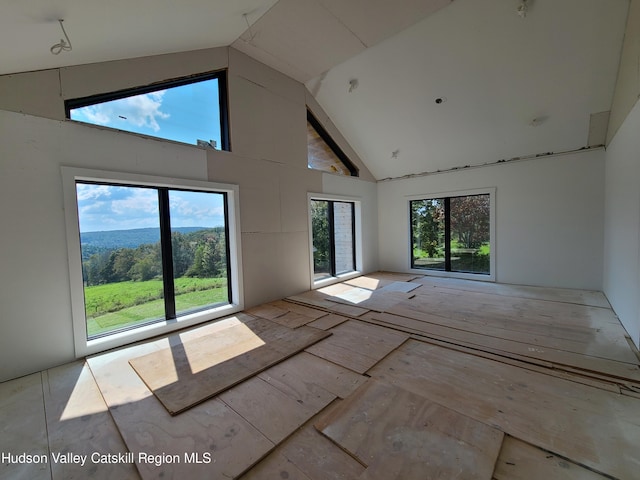 spare room with high vaulted ceiling