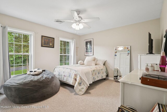 20 Cedar Ridge Rd, Stone Ridge, NY 12484 - bedroom featuring carpet flooring and ceiling fan