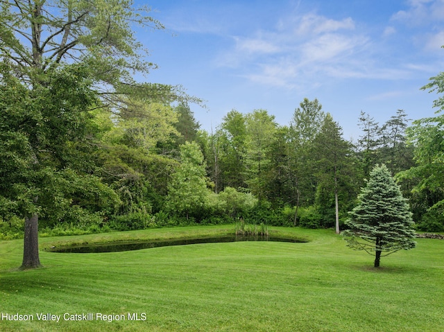 20 Cedar Ridge Rd, Stone Ridge, NY 12484 - view of green lawn with a water view
