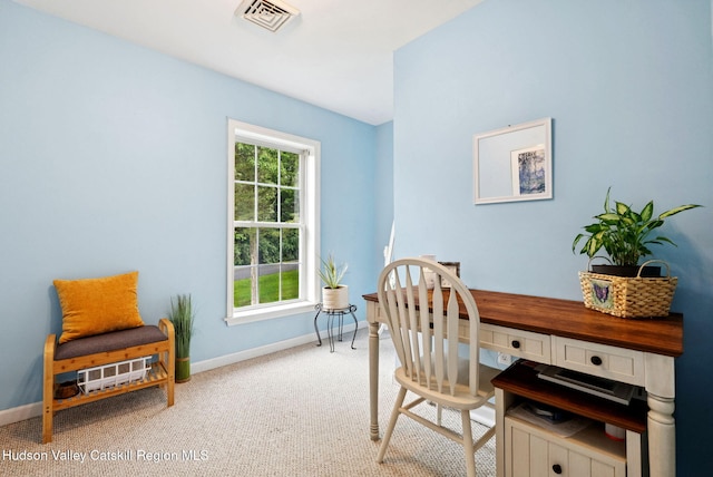 20 Cedar Ridge Rd, Stone Ridge, NY 12484 - office space with baseboards and light carpet