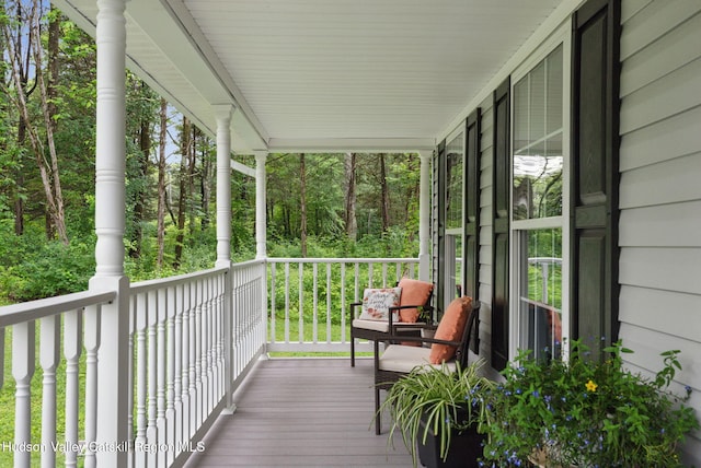 20 Cedar Ridge Rd, Stone Ridge, NY 12484 - view of porch
