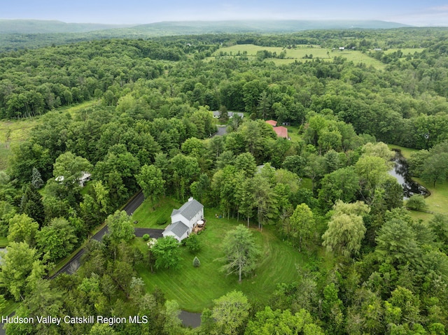 20 Cedar Ridge Rd, Stone Ridge, NY 12484 - aerial view of property's location with a forest