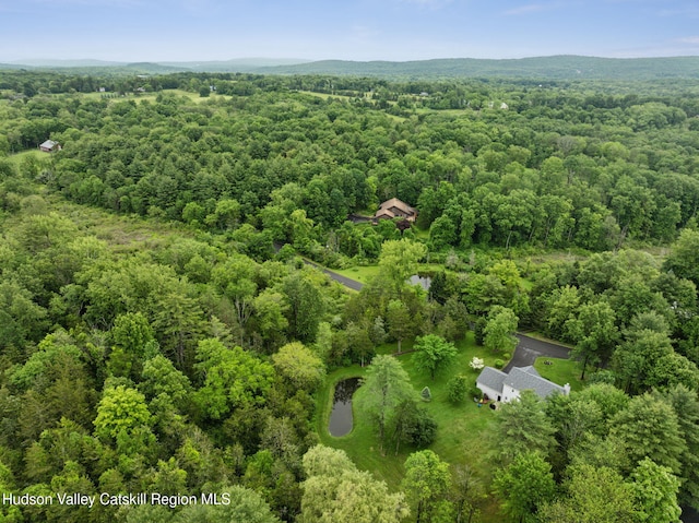 20 Cedar Ridge Rd, Stone Ridge, NY 12484 - drone / aerial view of a forest