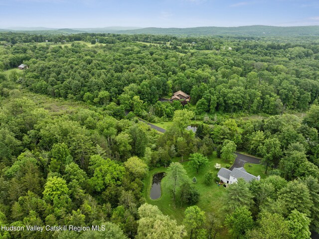 20 Cedar Ridge Rd, Stone Ridge, NY 12484 - drone / aerial view of a forest
