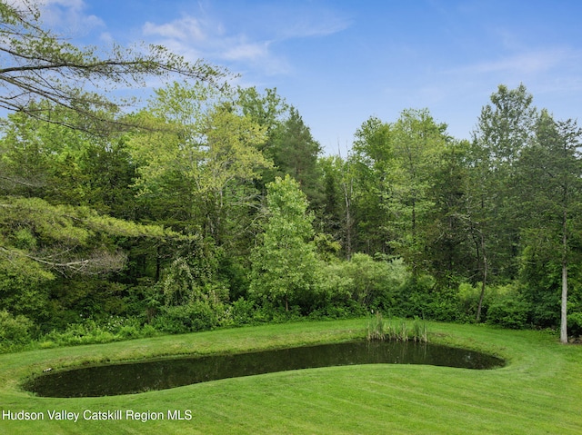 20 Cedar Ridge Rd, Stone Ridge, NY 12484 - view of grassy yard featuring a forest view