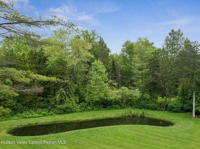 20 Cedar Ridge Rd, Stone Ridge, NY 12484 - view of grassy yard featuring a forest view