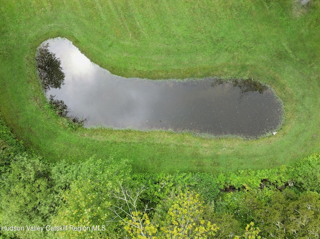 20 Cedar Ridge Rd, Stone Ridge, NY 12484 - bird's eye view of a large body of water