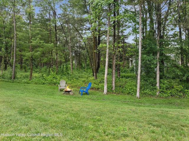 20 Cedar Ridge Rd, Stone Ridge, NY 12484 - view of grassy yard with a fire pit