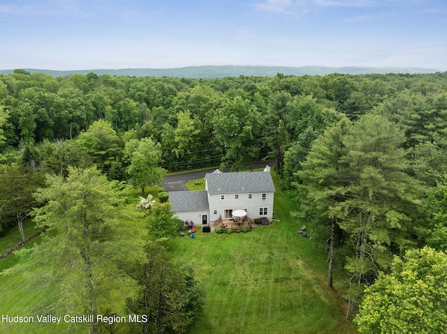 20 Cedar Ridge Rd, Stone Ridge, NY 12484 - view from above of property featuring a forest