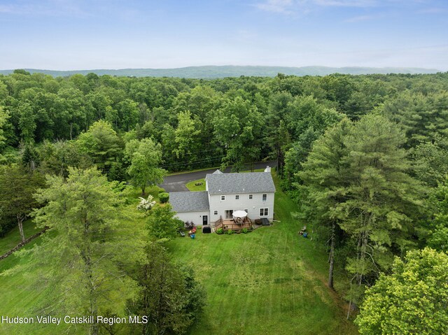 20 Cedar Ridge Rd, Stone Ridge, NY 12484 - view from above of property featuring a forest