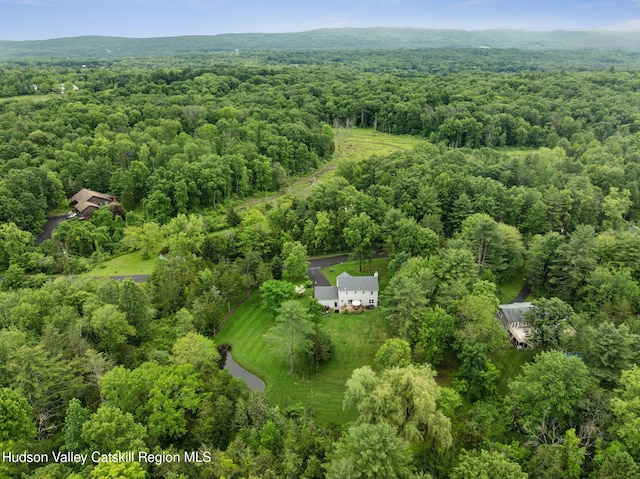 20 Cedar Ridge Rd, Stone Ridge, NY 12484 - aerial view of property and surrounding area with a forest