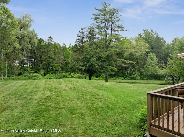 20 Cedar Ridge Rd, Stone Ridge, NY 12484 - view of green lawn featuring a wooden deck