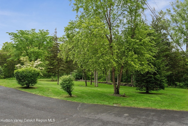 20 Cedar Ridge Rd, Stone Ridge, NY 12484 - view of green lawn