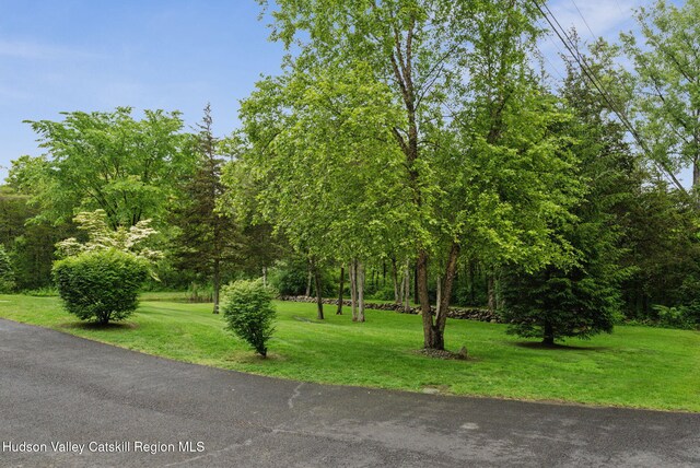 20 Cedar Ridge Rd, Stone Ridge, NY 12484 - view of green lawn
