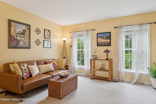 20 Cedar Ridge Rd, Stone Ridge, NY 12484 - living room with carpet and plenty of natural light