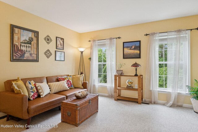 20 Cedar Ridge Rd, Stone Ridge, NY 12484 - living room with carpet and plenty of natural light