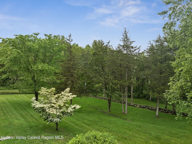 20 Cedar Ridge Rd, Stone Ridge, NY 12484 - view of grassy yard