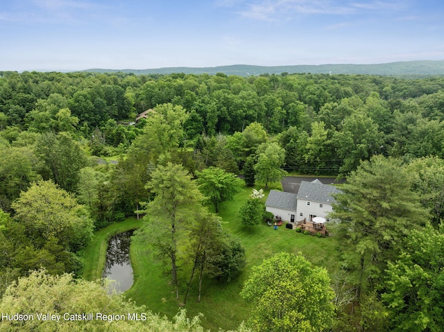 20 Cedar Ridge Rd, Stone Ridge, NY 12484 - aerial view of property and surrounding area with a heavily wooded area and a large body of water