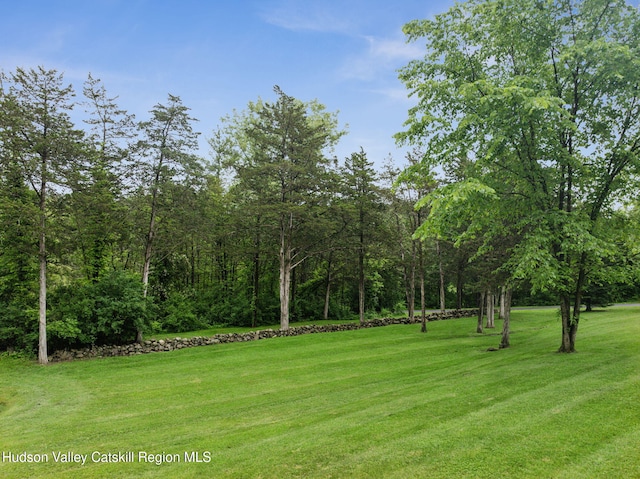 20 Cedar Ridge Rd, Stone Ridge, NY 12484 - view of green lawn