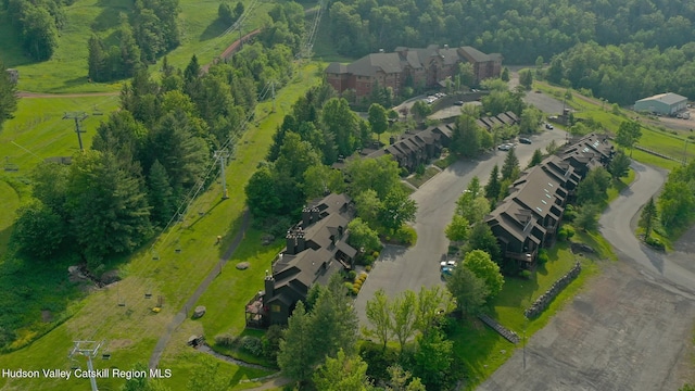 82 Liftside Dr Unit A13, Hunter, NY 12442 - aerial view of property's location