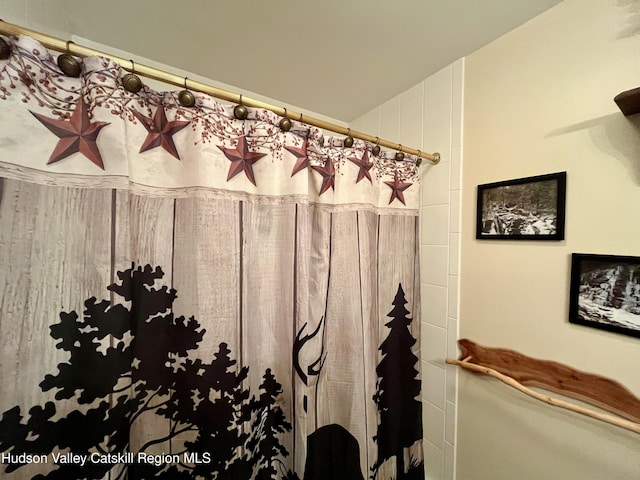 82 Liftside Dr Unit A13, Hunter, NY 12442 - bathroom view of a shower with curtain