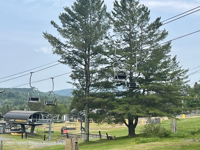 82 Liftside Dr Unit A13, Hunter, NY 12442 - view of property's community with a lawn and a mountain view