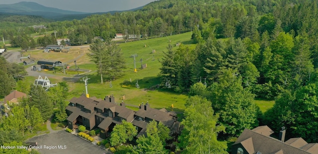82 Liftside Dr Unit A13, Hunter, NY 12442 - aerial view of property's location with a forest and a mountain backdrop