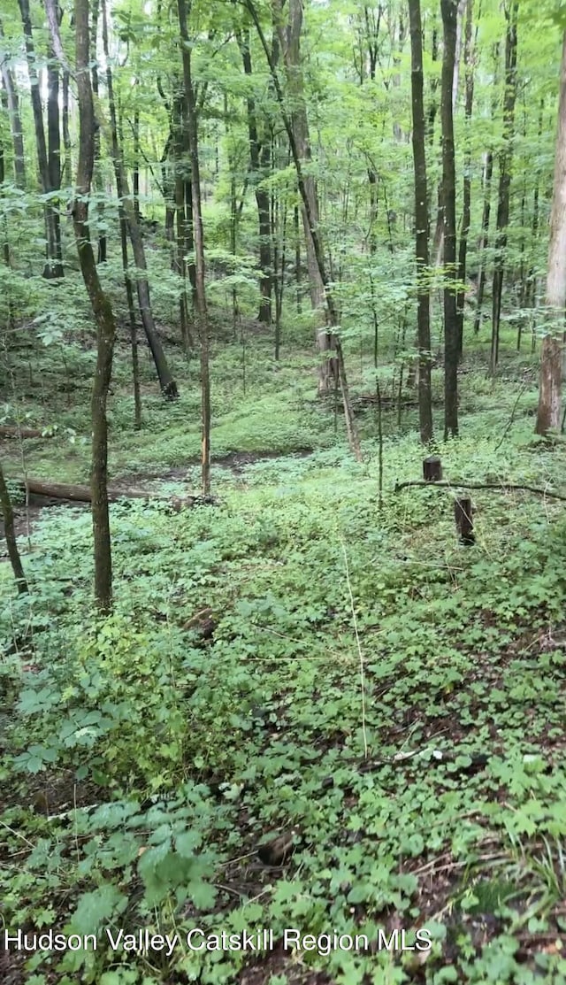 TBD Creek Rd, Pleasant Valley, NY 12569 - photo 4