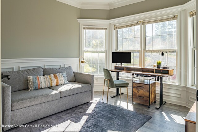 office featuring wood-type flooring and ornamental molding