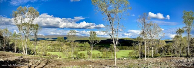0 County Route 7, Copake, NY 12516