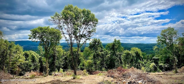 0 County Route 7, Copake, NY 12516