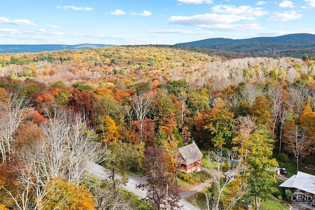 214 Fog Hill Rd, Austerlitz, NY 12017 - drone / aerial view of a heavily wooded area and a mountainous background