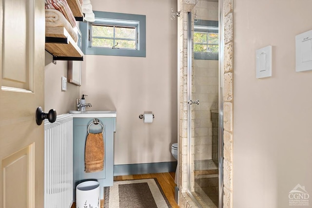 214 Fog Hill Rd, Austerlitz, NY 12017 - bathroom with toilet, plenty of natural light, a shower stall, and a sink