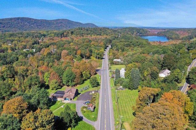 aerial view featuring a water and mountain view