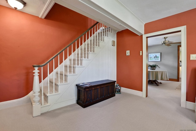 stairs featuring carpet floors and ceiling fan