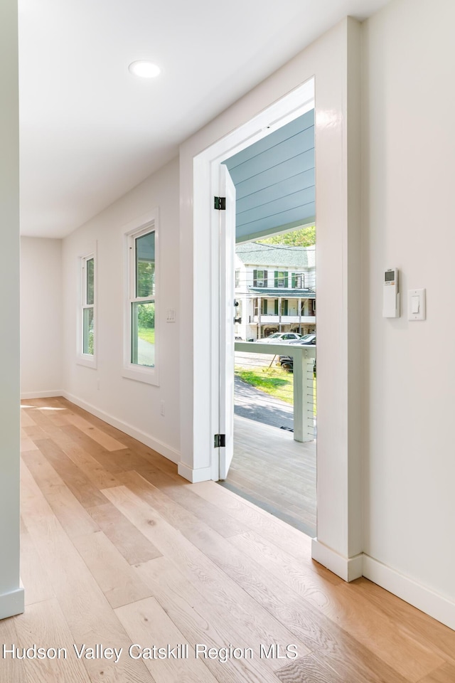 doorway with light hardwood / wood-style floors and a wealth of natural light