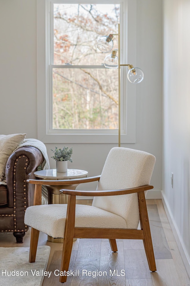 sitting room featuring a healthy amount of sunlight and light wood-type flooring