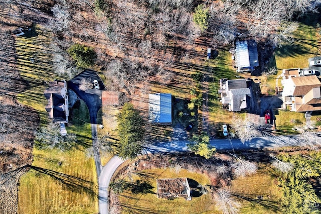 31 Showers Rd, Hunter, NY 12485 - photo 16