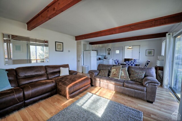 31 Showers Rd, Hunter, NY 12485 - photo 31