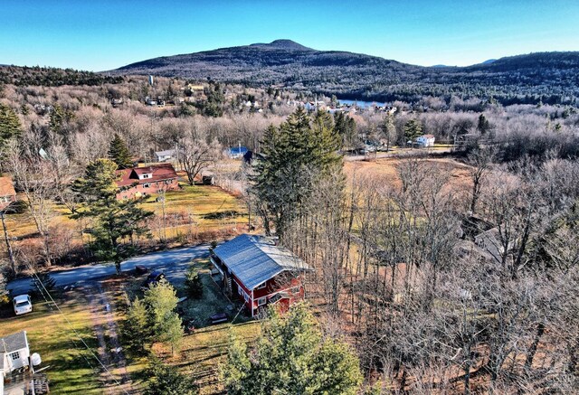 31 Showers Rd, Hunter, NY 12485 - photo 78