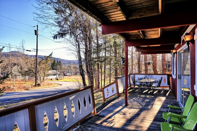 31 Showers Rd, Hunter, NY 12485 - photo 87