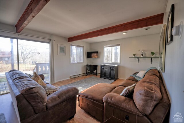 31 Showers Rd, Hunter, NY 12485 - photo 34