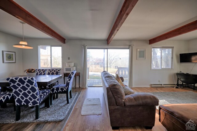 31 Showers Rd, Hunter, NY 12485 - photo 33