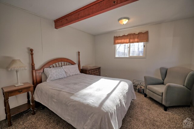 31 Showers Rd, Hunter, NY 12485 - photo 36