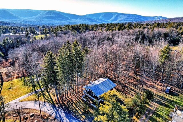 31 Showers Rd, Hunter, NY 12485 - photo 12